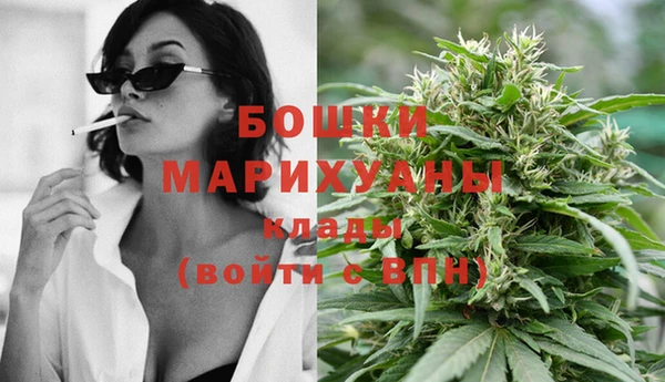 молекула духа Сосновоборск