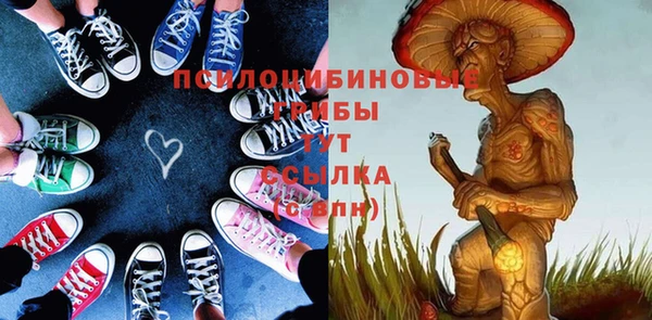 молекула духа Сосновоборск