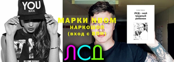 молекула духа Сосновоборск