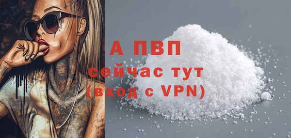 молекула духа Сосновоборск