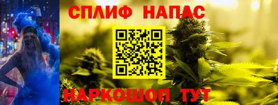 СК Балаково