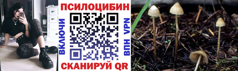 Псилоцибиновые грибы Psilocybe  как найти закладки  Новочебоксарск 
