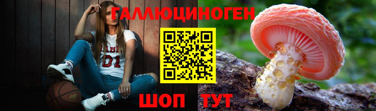 Псилоцибиновые грибы мухоморы  Новочебоксарск 